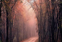 天涯论坛经济区探秘，老版社区经济热议新料