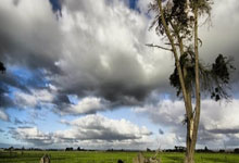 天涯社区：国际观察的热门平台