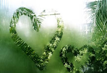 天涯论坛也可以云就业了？死守'铁饭碗'还是加入天涯职场社区的自由人？